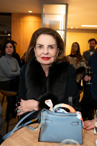 Suzana Chaves Barcellos (Andréa Graiz/Holofote)